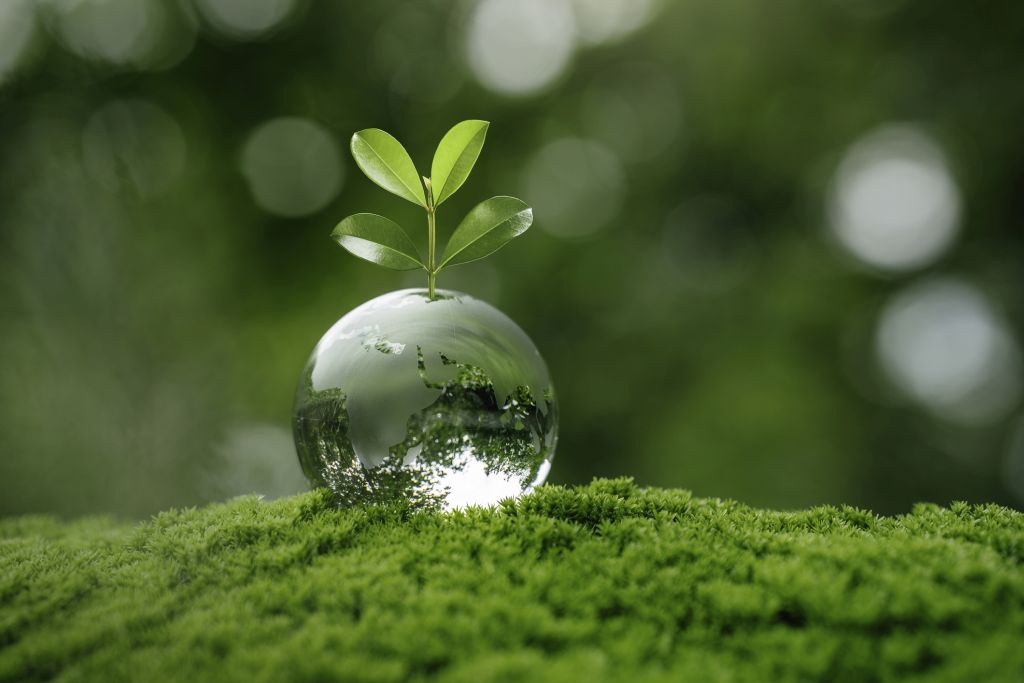 Zorlu Enerji, CDP ve S&P global listelerinde üst seviyede